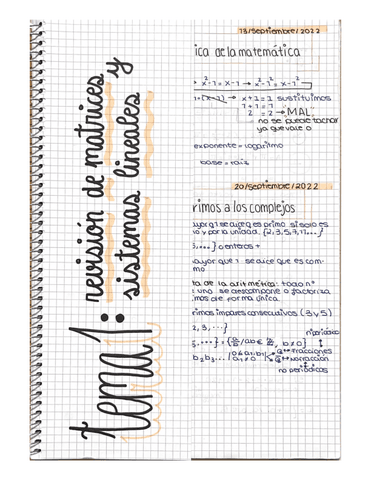 TEMA-I--Revision-de-matrices-y-sistemas-lineales-teoria-con-ejercicios.pdf