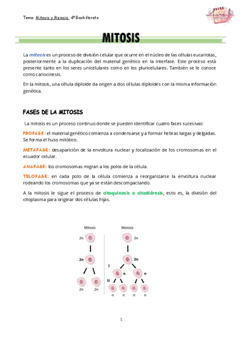 Mitosis-Y-MEIOSIS.pdf