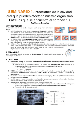 SEMINARIOS-LUNES-123.pdf
