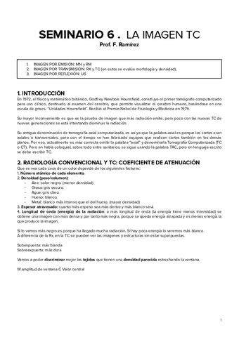 SEMINARIO-6.pdf