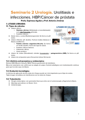 Lunes-2.pdf
