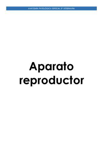 Aparato-Reproductor.pdf