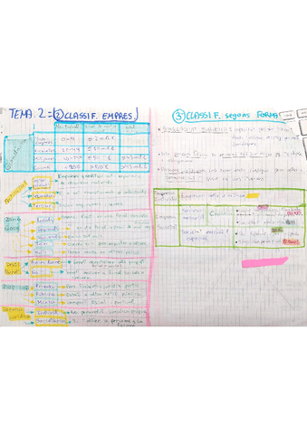 2-clasificacion-de-las-empresas.pdf