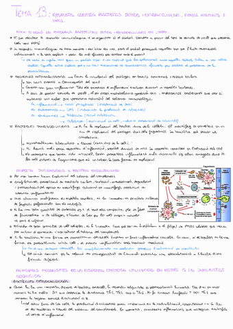 Tema-13Immuno.pdf
