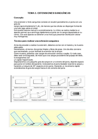 Tema-3.-EXTENSIONES-SANGUINEAS.pdf