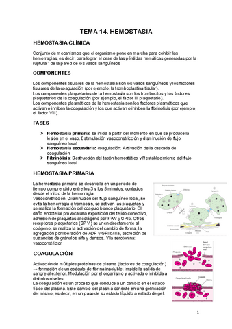 tema-14-HEMOSTASIA.pdf