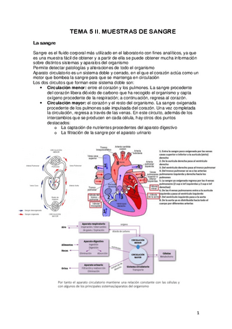 Tema-5-II-MUESTRAS-DE-SANGRE.pdf