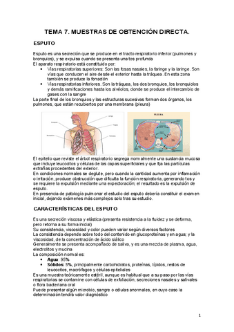 tema-7-MUESTRAS-DE-OBTENCION-DIRECTA..pdf