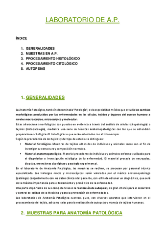 Laboratorio-de-A.P.-I.pdf