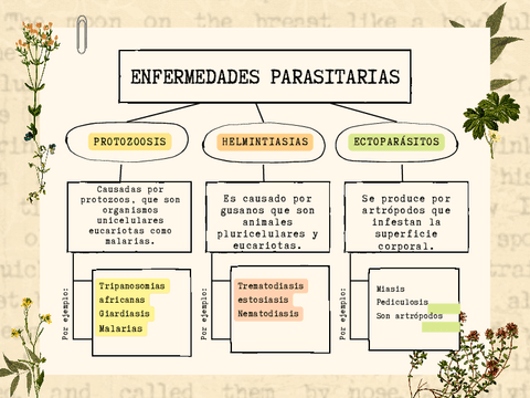 Calculo-Basico-Cole.pdf