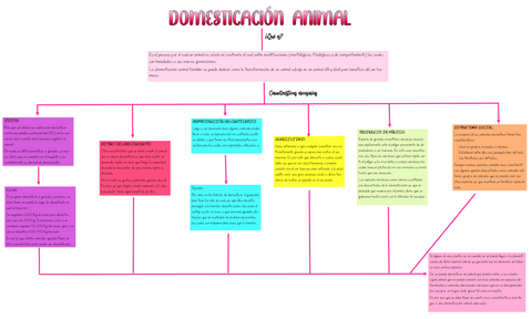 mapa-conceptual-de-la-domesticacion-animal-94146-downloable-2530982.pdf