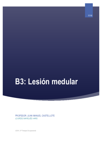 B3. Lesión medular.pdf