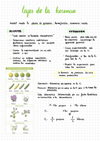 Leyes-De-La-Herencia.pdf