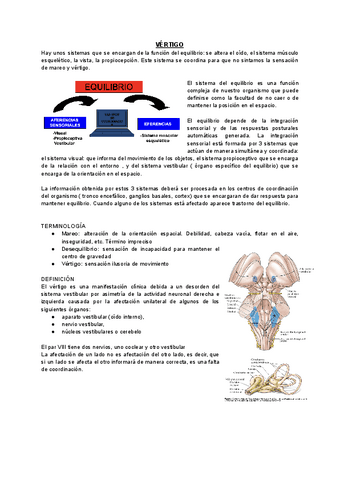VERTIGO.pdf
