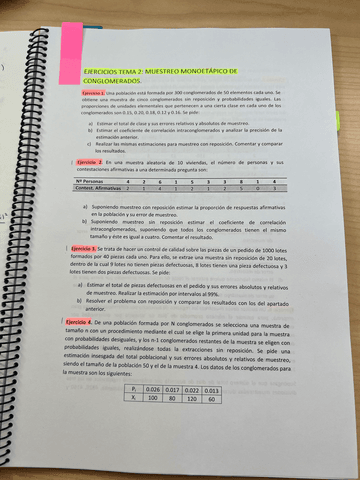 EJERCICIOSTEMA2.pdf