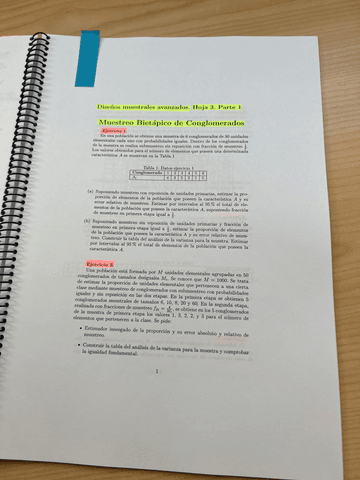 EJERCICIOSTEMA3.pdf