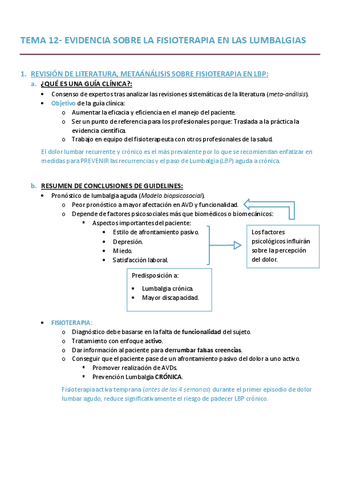 TEMA-12-FEC1-ISA.pdf