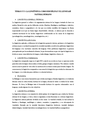 apuntes-examen-linguistica.pdf