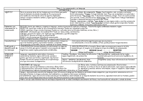 Resumen-intervencion.pdf