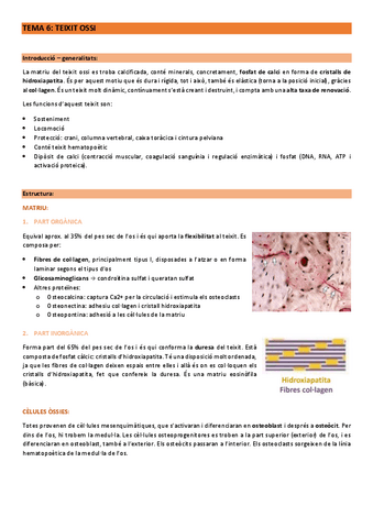 Histologia-2n-parcial--visum.pdf