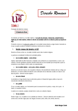 TEMA 1 ROMANO.pdf