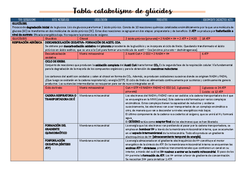 Tabla-catabolismo.pdf