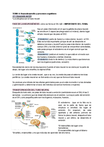 T.4.Neurodesarrollo-y-procesos-cognitivos.pdf