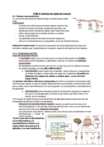 TEMA-9-Sistemas-de-regulacion-corporal-2.pdf