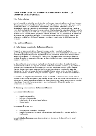 TEMA-5-geografia.pdf