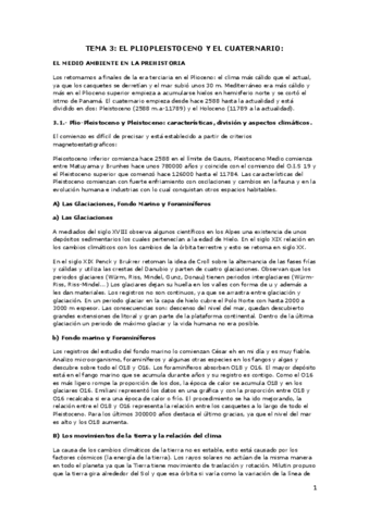 TEMA-3-prehistoria.pdf