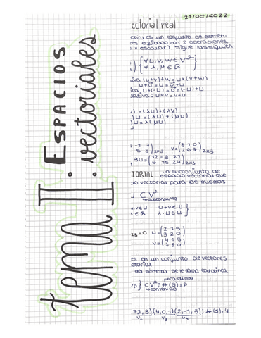 TEMA-II--Espacios-vectoriales-teoria-y-ejercicios.pdf