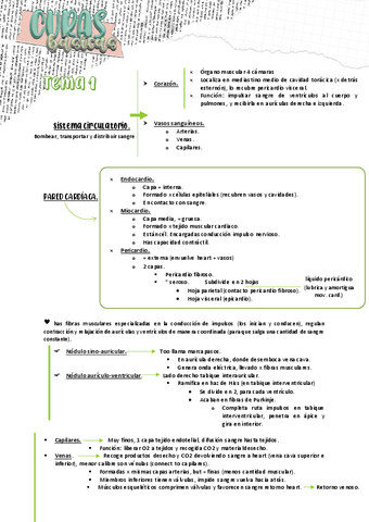 Curas-basicas-de-enfermeria-202122.pdf