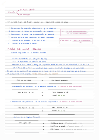 Esquema-contable-fusion.pdf