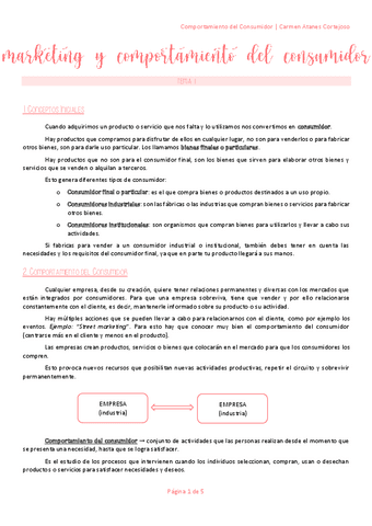 C.-Consumidor-T1.pdf