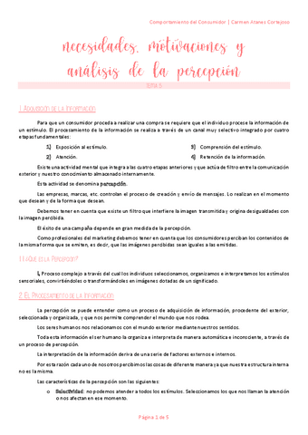 C.-Consumidor-T5.pdf