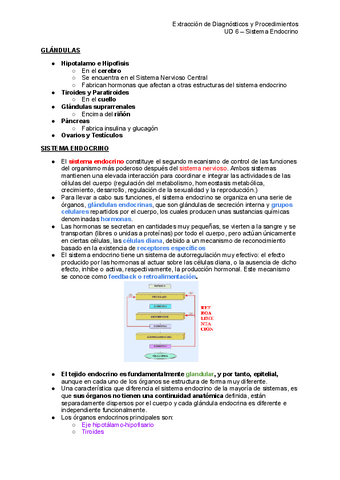 EDP-6.-Sistema-Endocrino.pdf