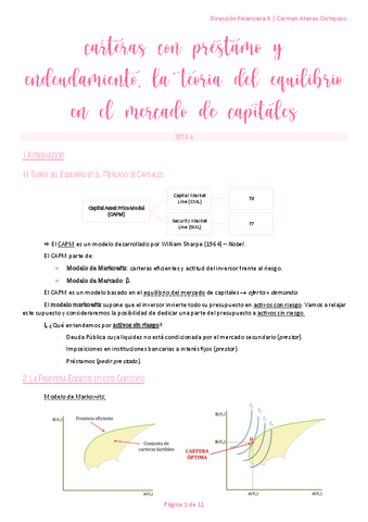 D.-Financiera-T6.pdf