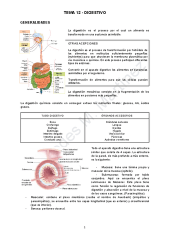 TEMA-12-ANATO.pdf