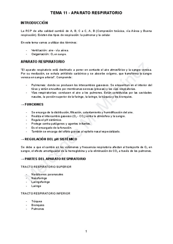 TEMA-11-ANATO.pdf