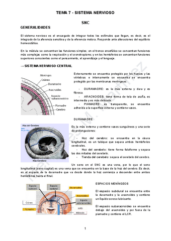 TEMA-7-ANATO.pdf