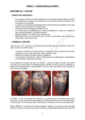 TEMA-6-ANATOMIA.pdf