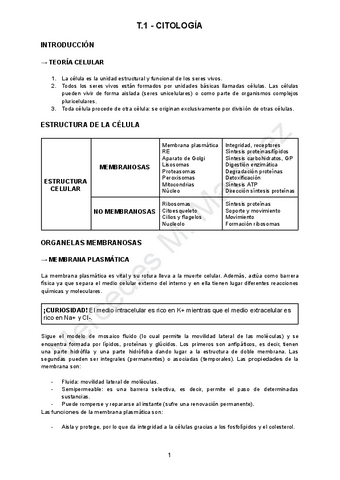 TEMA-1-CITOLOGIA.pdf