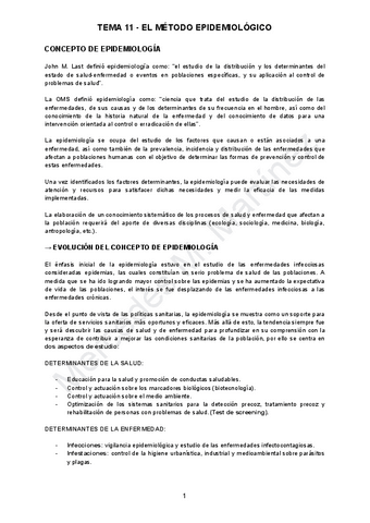 TEMA-11.pdf