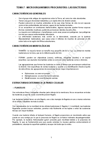 TEMA-7.pdf