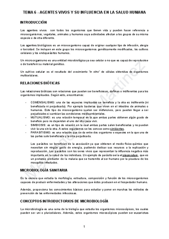 TEMA-6.pdf