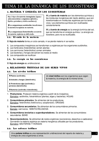 Tema-10.pdf