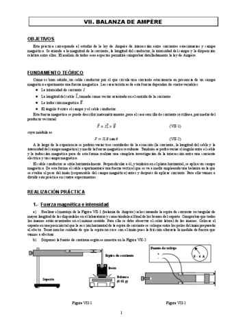 LABEMVII2022.pdf