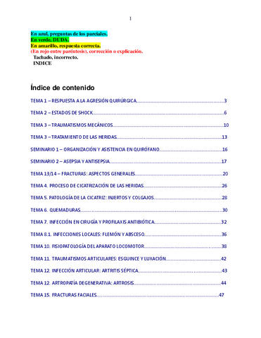 Preguntas-Examen-Final-pato-quiru-ordenado.pdf