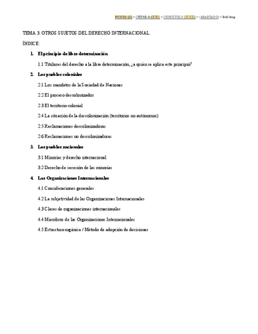 T3-Otros-Sujetos-del-Derecho-Internacional.pdf