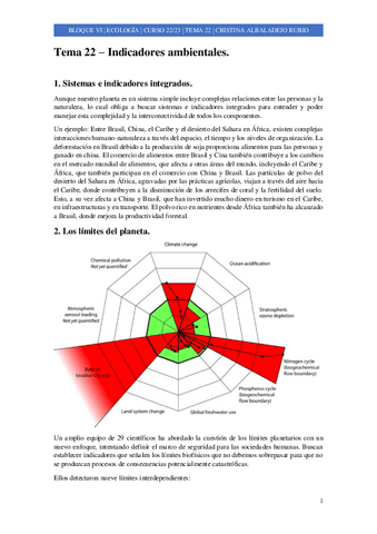 Tema-22-Indicadores-ambientales..pdf